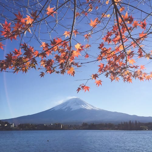 Eka Tjipta avatar